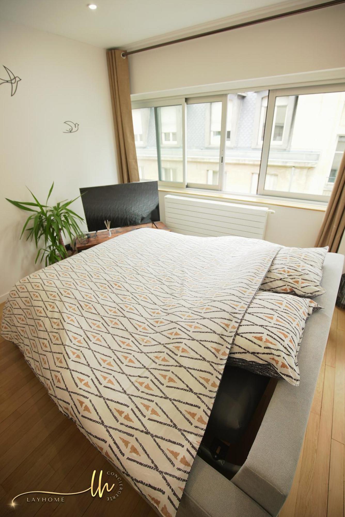 Chaleureux, Lumineux Et Confortable F2 Renove En Plein Coeur De Nancy Bagian luar foto